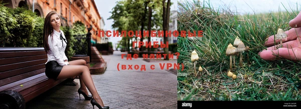 дмт Володарск